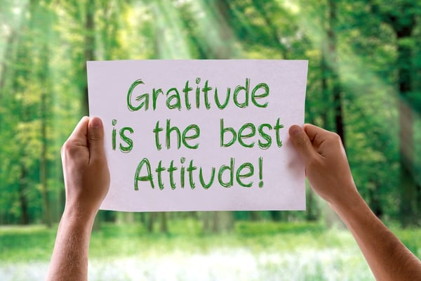 gratitude  in all situations