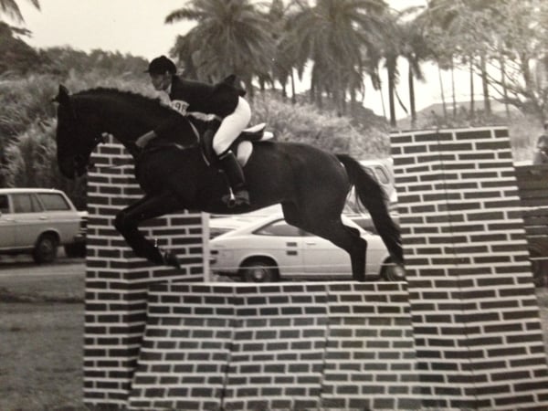 ann campanella horse jumping