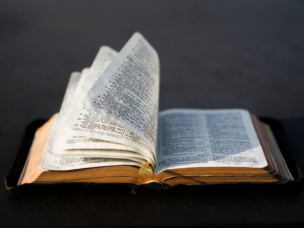 open bible college study