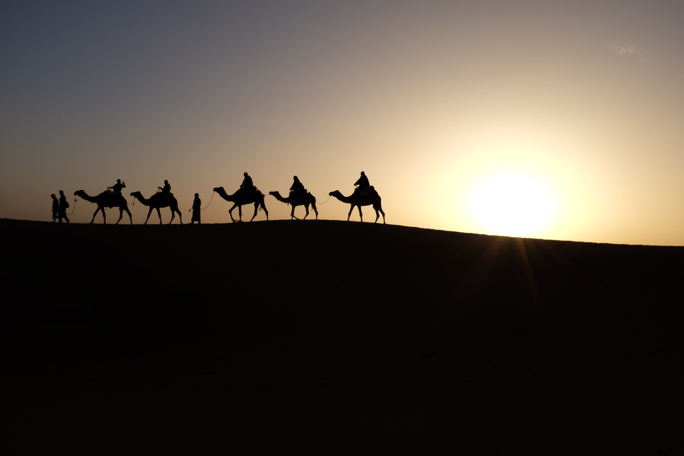 Israelites wandering desert science